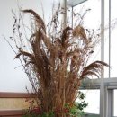 광주무등교회 이미지