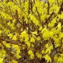 엄마손케어 이미지