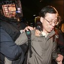보이는 족족 이미지
