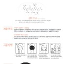 브이쇼핑 이미지