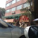 본토,만다복 이미지