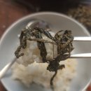 쉐프엠일산 이미지