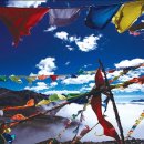 샹그리라 이미지