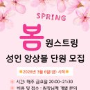 원스트링음악학원