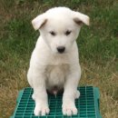 건영축산 이미지