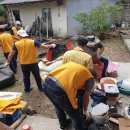 옐로우시티 이미지