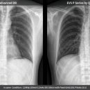 플러스정형외과의원 이미지