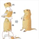 프레리도그 (Prairie Dog) 이미지