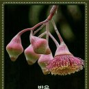 좌구산 천문대 이미지