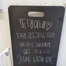 똘멍이네 이미지