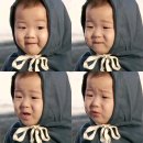 조용하지만 듬직한 존재감 삼둥이 대한이 오빠 + 민국,만세 캡쳐 GIF 이미지