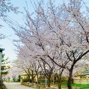 세정유치원 이미지