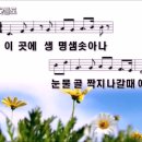 꽃들도 - 칠곡군 자조1길 9-18 | 꽃들도