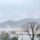 커피단월