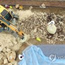 충북농장 이미지