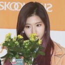 꽃향기 - 거제시 | 꽃향기