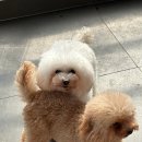 화이트 버블 | 화이트버블에서 자란 아가들의 공통점