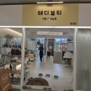 테디뷰티