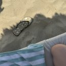 유림-1046 | [모두 내돈내산] 22주 임산부의 베트남 나트랑 4박 6일 태교여행 _ 3탄 🇻🇳 | (유튜브 영상) 알마리조트...