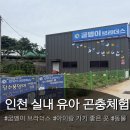 서울 주말농장 인천핫플 굼벵이브라더스 아이랑 방문 솔직후기 : 주차 가격 체험