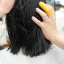 참괜찮은미용실 네이버블로그