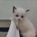 남구-037 이미지