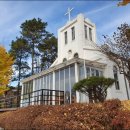 성호자동차 이미지