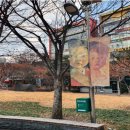 도심공원 이미지