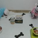 펫쓰리엘 이미지