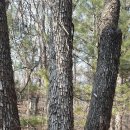 입석2리 이미지