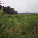 설성면사무소 이미지