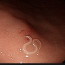 다윗365내과재활의학과의원 이미지