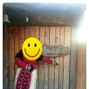 해맞이민박 이미지