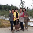 김순덕 농장 이미지