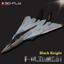 F-14 TOMCAT Black Knight 이미지