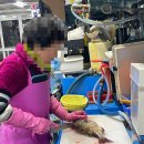 삼호상회 - 사천시 서삼로 21-1 | 삼호상회
