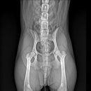 엑슬루 동물병원 이미지