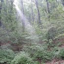 옥천 약수터 이미지