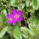 이천역부동산공인중개사사무소 이미지