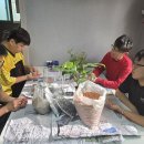 2610.03.Horticultural therapy(수경식물) 이미지