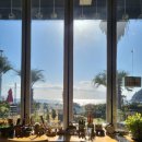 섶섬 아우룸 이미지