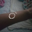 원무역상사 | 고양이 링웜 대장정의 막을 내리다..'평택동물병원봄날'