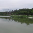울산대공원 장미축제(09.6.7) 이미지