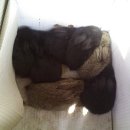 미니농장 이미지