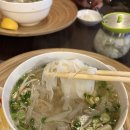 1136 | 헝가리 부다페스트 맛집 해장 쌀국수 Pho King bistro (솔직 후기/고수 주의)