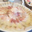 동해활어 이미지