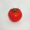 주식회사 핸드릭스