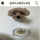 알콩이네 | 강아지 수제간식 추천, 주문 즉시 제조하는 알콩이네 강아지 간식 후기