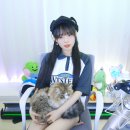 샤먼 PC cafe 이미지