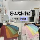 골드에스제이 | 세종 퍼스널컬러 잘하는 곳 몽끄컬러랩 재진단 받은 후기